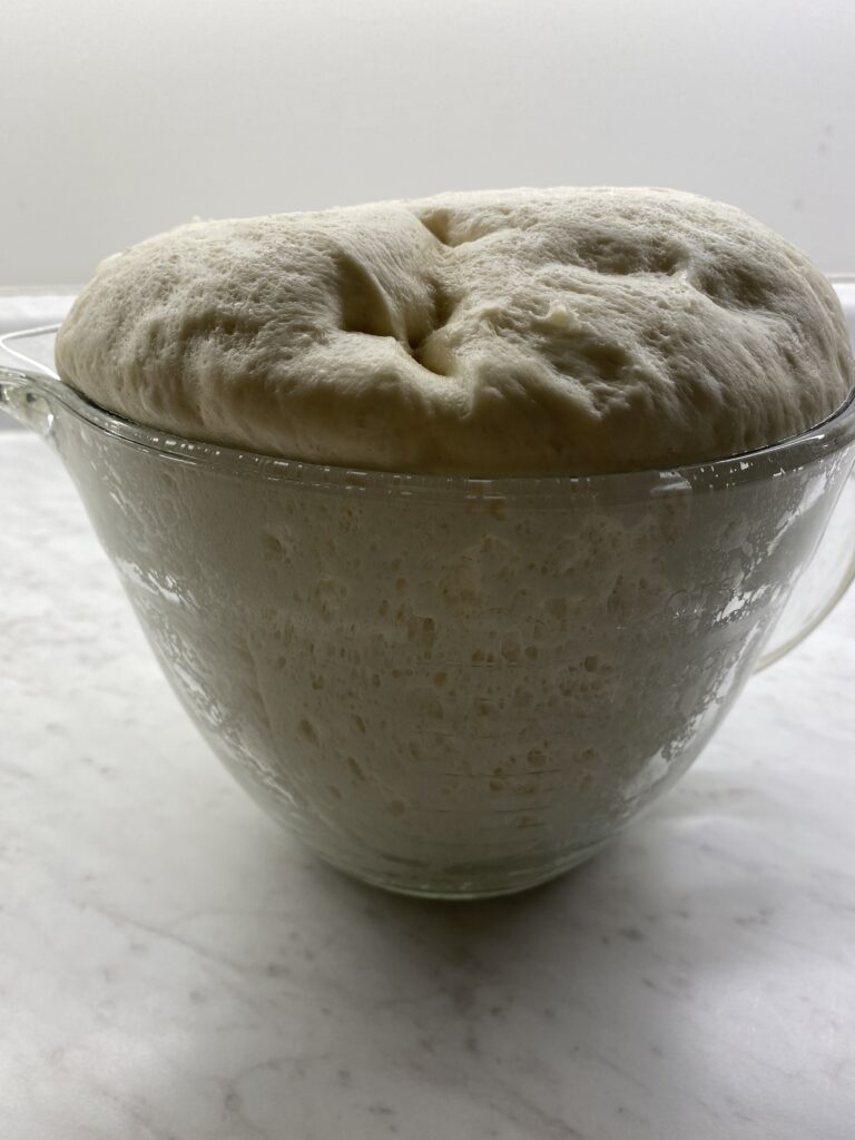 dough doubled in size