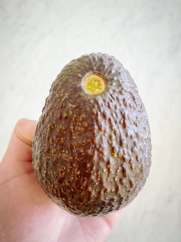 Avocado for guacamole